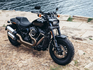 2018 - Fat Bob