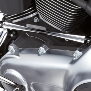 ASTA CAMBIO ARLEN NESS