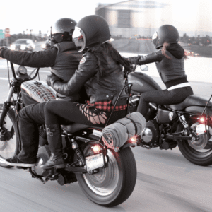 SISSY BAR BURLY BRAND PER SPORTSTER E DYNA