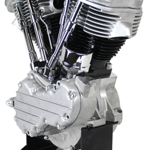 MOTORE PANHEAD CUSTOM