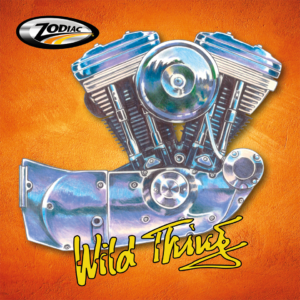 SOTTOBICCHIERI, OVVERO TAPPETINI PER LA BIRRA