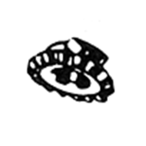 PARTI CAMBIO BICILINDRICI 45CI