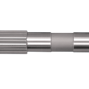 ALBERI PRIMARI 5 MARCE