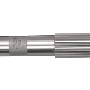 ALBERI PRIMARI 5 MARCE