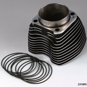 GUARNIZIONI MOTORE O-RING E PARAOLI PER TWIN CAM