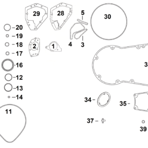 GUARNIZIONI, O-RING E PARAOLI PER INDIAN CON MOTORI POWERPLUS