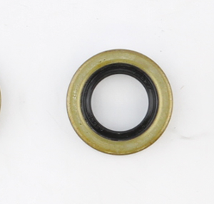 GUARNIZIONI, O-RING E PARAOLI PER INDIAN CON MOTORI POWERPLUS