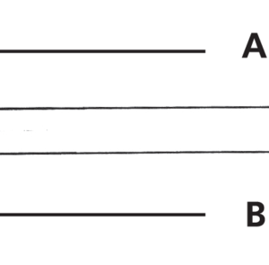 KIT FORCELLONE "WIDE ASS" PER SOFTAIL EVOLUTION DAGLI ULTIMI 1987-1999