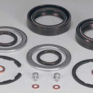 KITS/PARAOLI FORCELLA