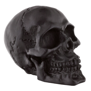 TESCHI GENUINE ZODIAC