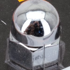 DADI CROMATI ACORN CON TESTA TONDA DA COLONY