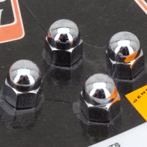 DADI CROMATI ACORN CON TESTA TONDA DA COLONY