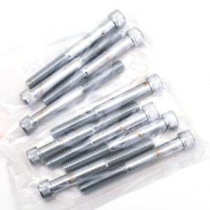 VITI A BRUGOLA CROMATE GRADO-8