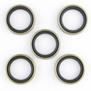 GUARNIZIONI MOTORE O-RING E PARAOLI PER TWIN CAM