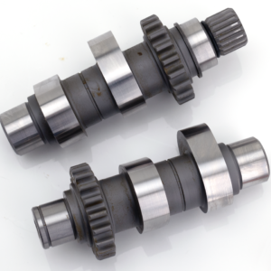 CAMME ANDREWS PER MODELLI