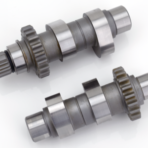 CAMME ANDREWS PER MODELLI