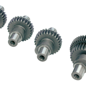 CAMME ANDREWS PER SPORTSTER EVOLUTION