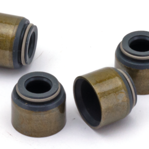 GUARNIZIONI, O-RING E PARAOLI PER INDIAN CON MOTORI POWERPLUS