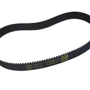 CINGHIE DI RICAMBIO PER KITS PRIMO BELT DRIVE