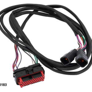 CABLAGGIO ALTOPARLANTI POSTERIORI NAMZ