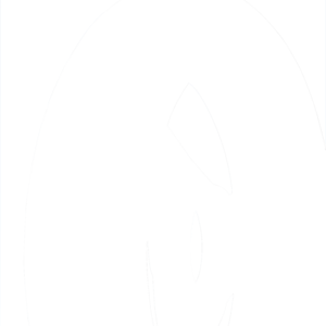 PNEUMATICI ROADRUNNER AM 20 ANTERIORE ED AM 21 POSTERIORE