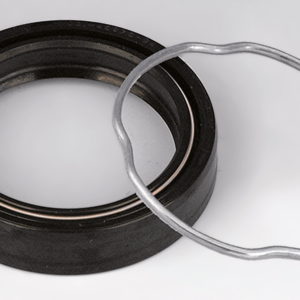 KIT SINGOLI PARAOLI E O-RING FORCELLA