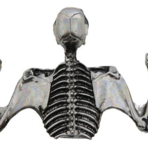 ORNAMENTO PER VISIERA DEL FARO CON TESCHIO